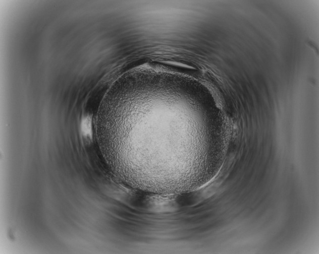 X0000097670094200802291510