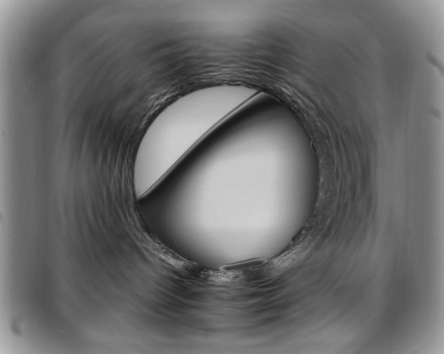 X0000097670096200802291510
