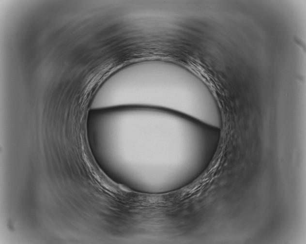 X0000097670097200802291510