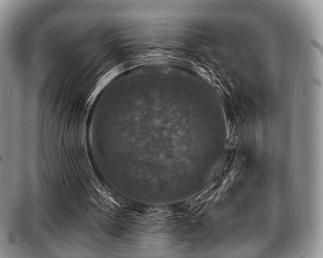 X0000097670099200802291510