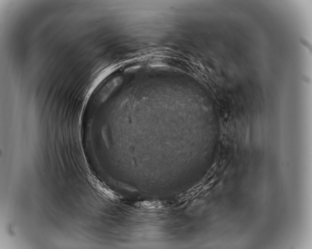 X0000097670100200802291510