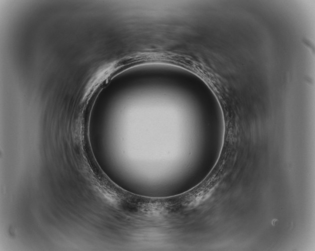 X0000097670103200802291510