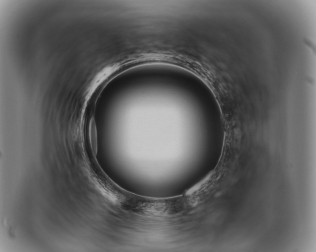 X0000097670104200802291510