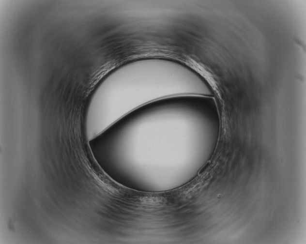 X0000097670105200802291510