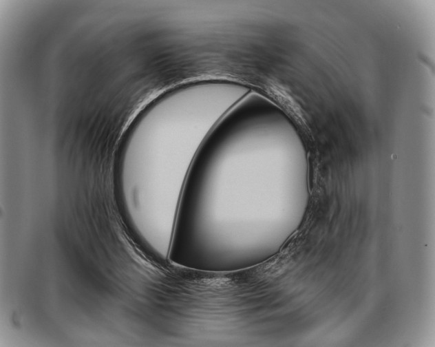 X0000097670108200802291510