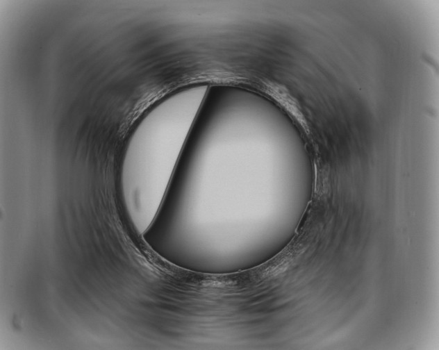 X0000097670109200802291510
