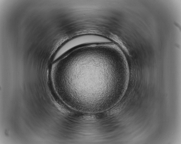 X0000097670110200802291510