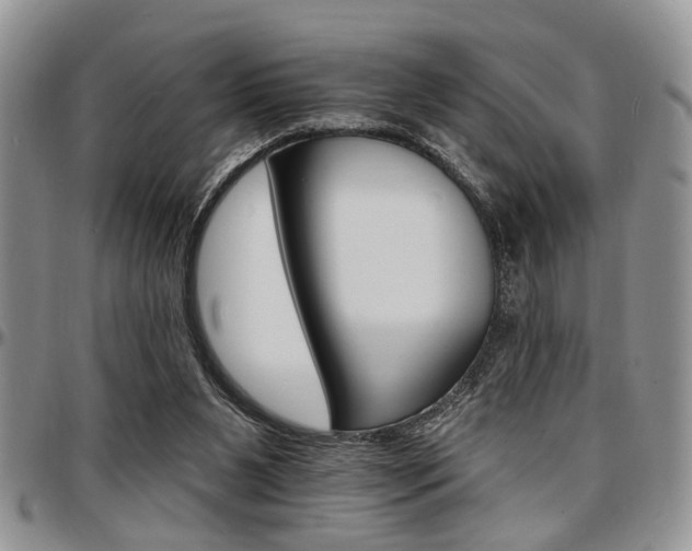X0000097670111200802291509