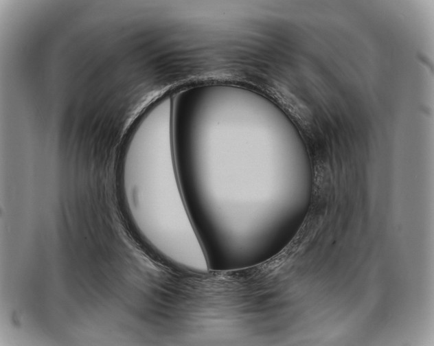 X0000097670112200802291509