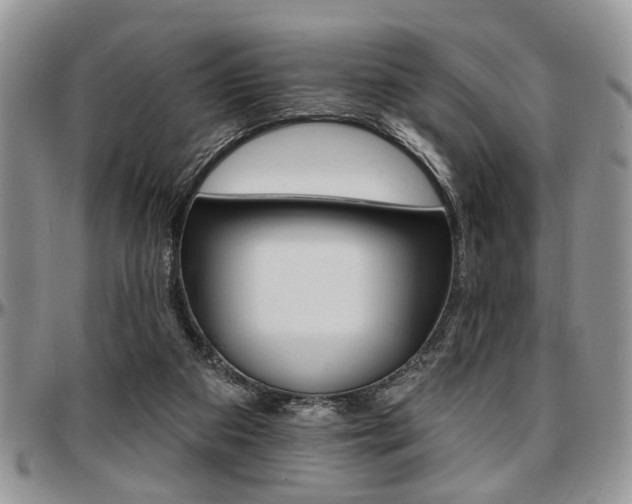 X0000097670113200802291509