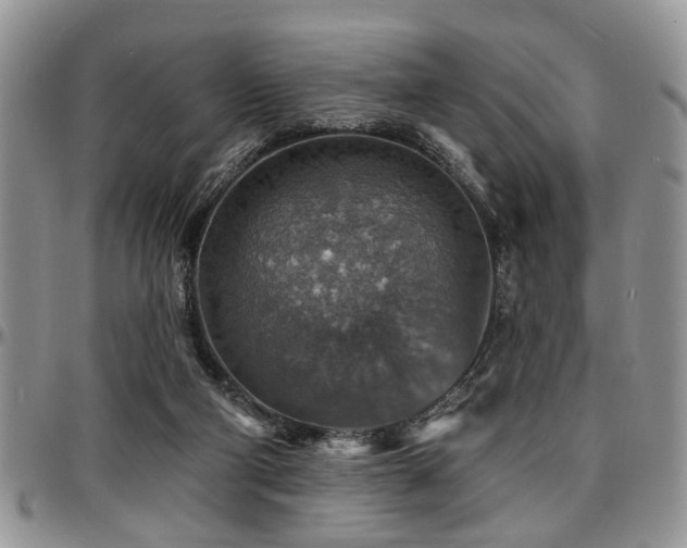 X0000097670114200802291509