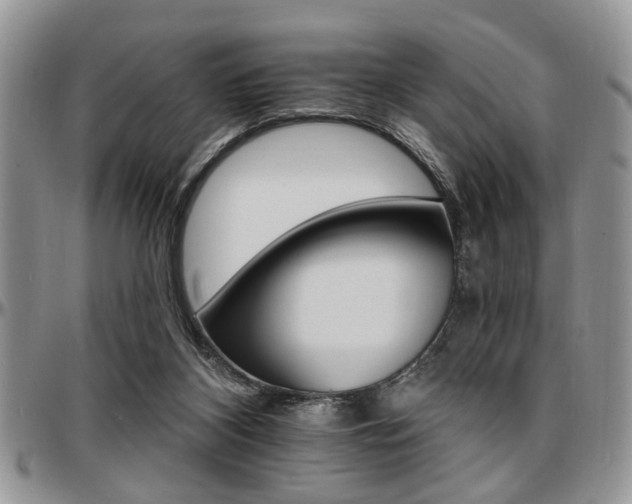 X0000097670116200802291509