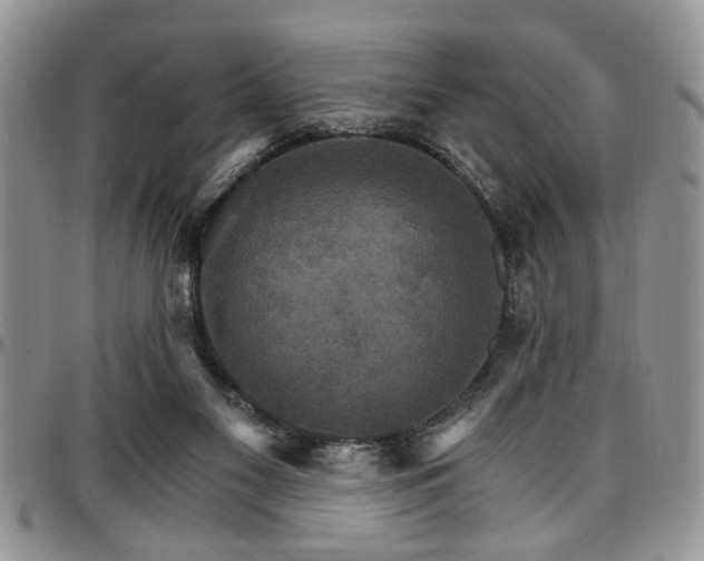 X0000097670117200802291509