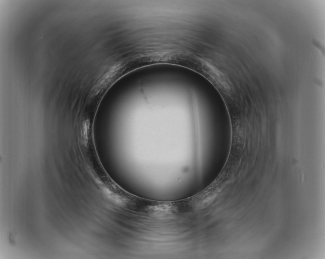 X0000097670118200802291509
