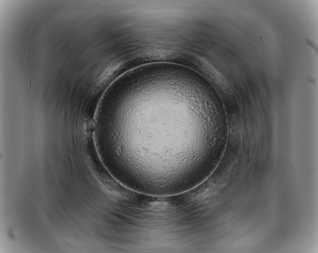 X0000097670119200802291509