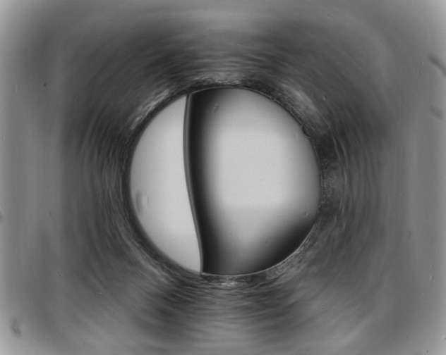 X0000097670120200802291509
