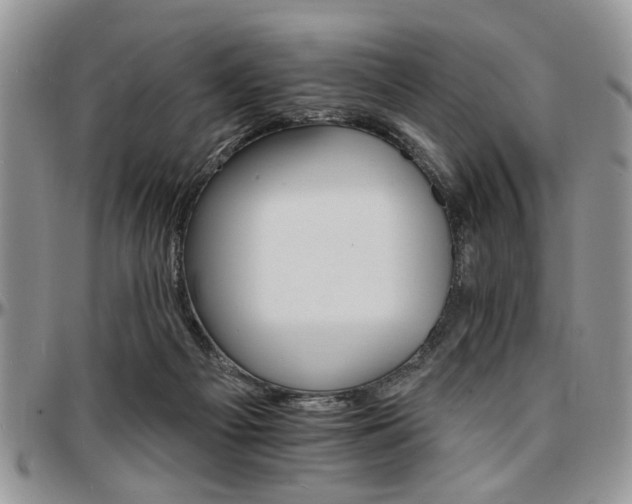 X0000097670121200802291509