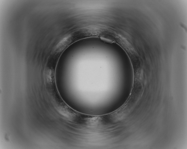 X0000097670122200802291509
