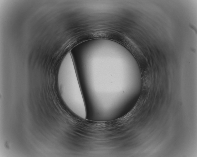 X0000097670124200802291509
