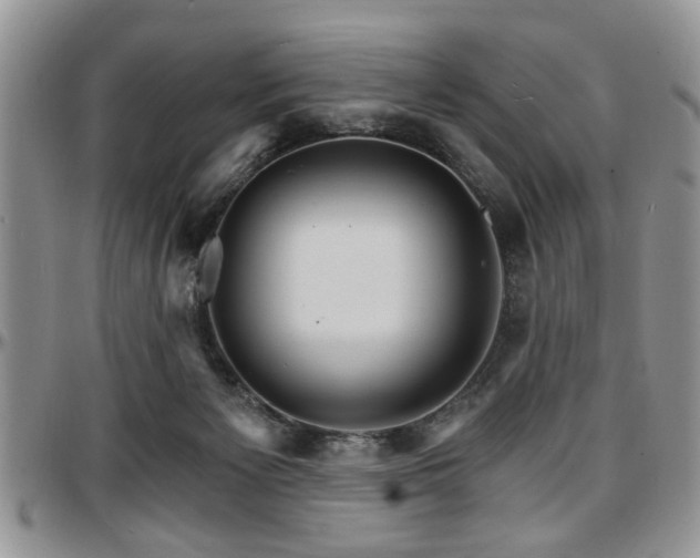 X0000097670125200802291509