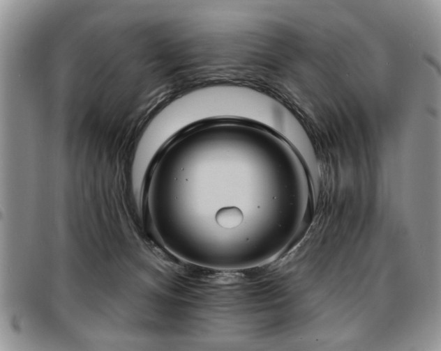 X0000097670128200802291509