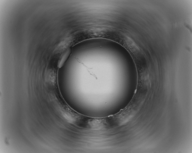 X0000097670129200802291509