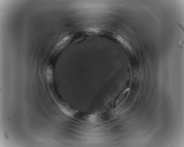 X0000097670130200802291509