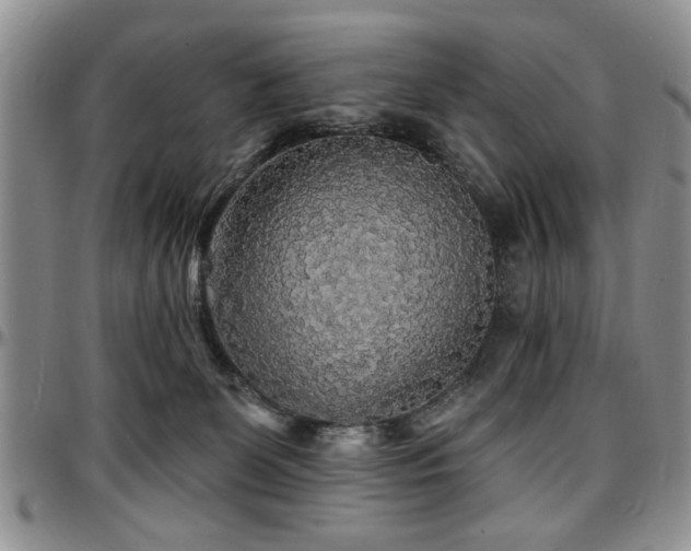 X0000097670131200802291509
