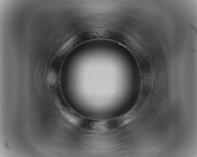 X0000097670132200802291509
