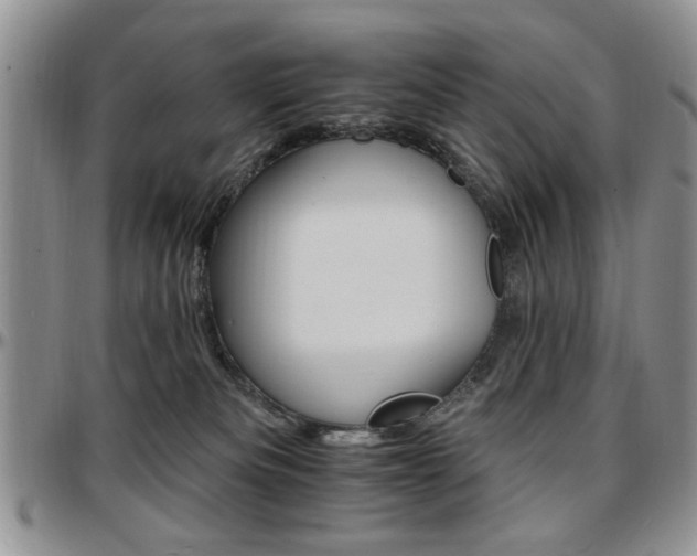 X0000097670133200802291509