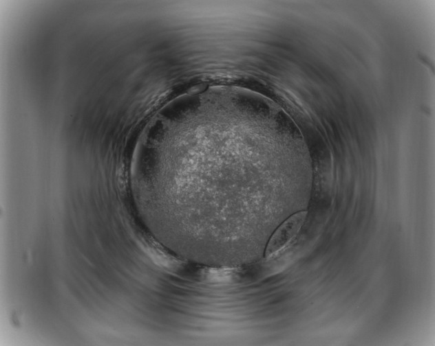 X0000097670134200802291509