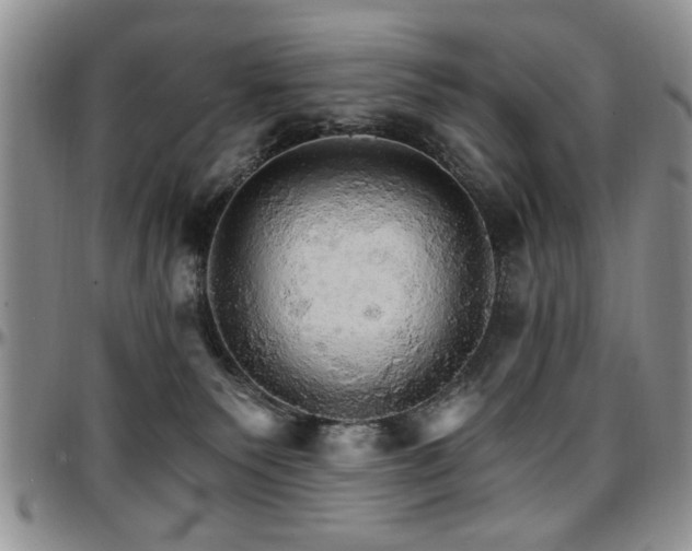 X0000097670135200802291509