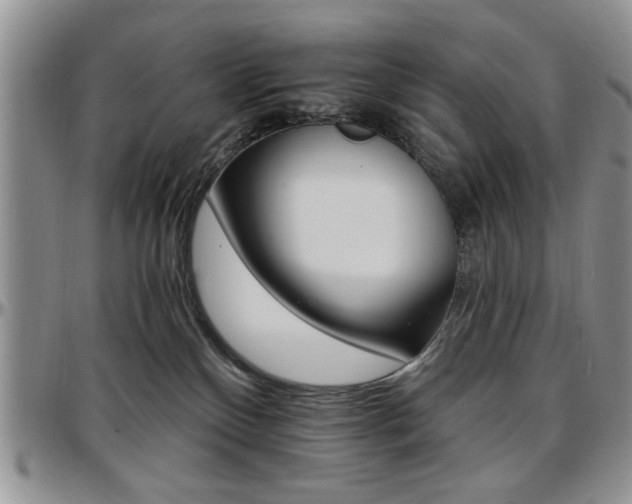 X0000097670136200802291509