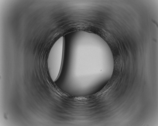 X0000097670137200802291509
