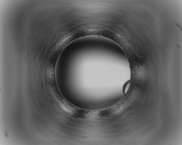X0000097670138200802291509