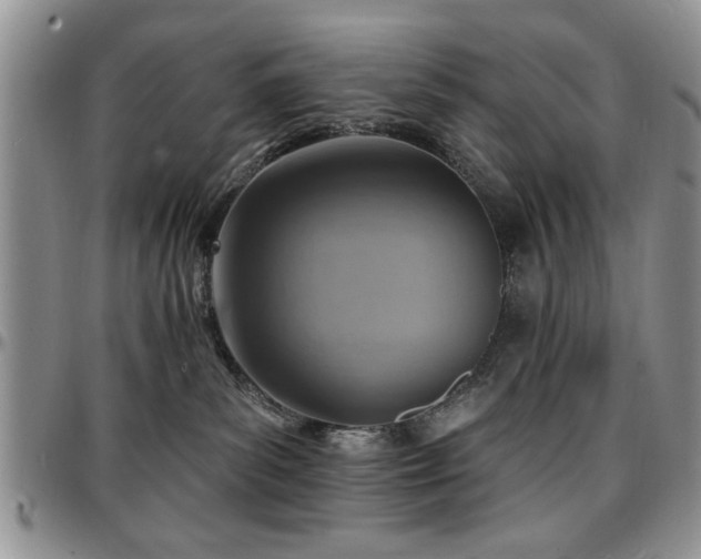 X0000097670139200802291509