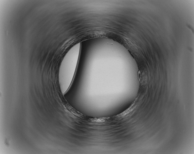 X0000097670140200802291509