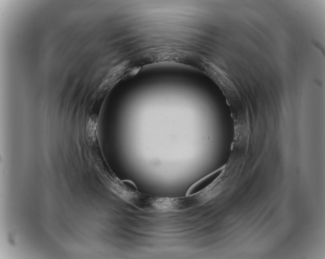 X0000097670142200802291509