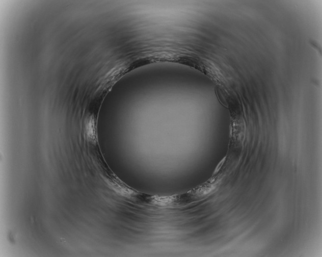X0000097670143200802291509