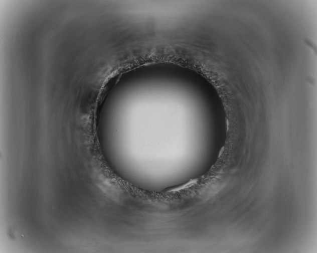 X0000097670144200802291509