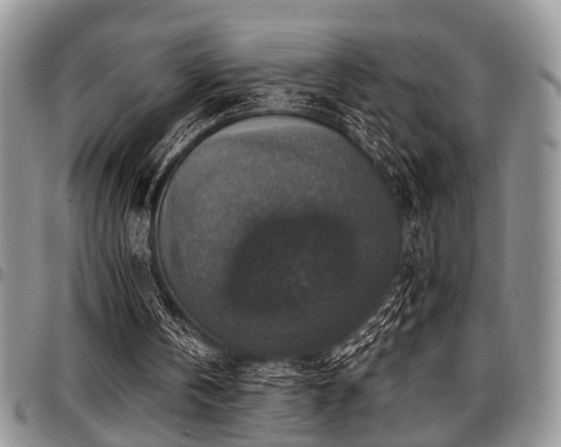 X0000097670146200802291508