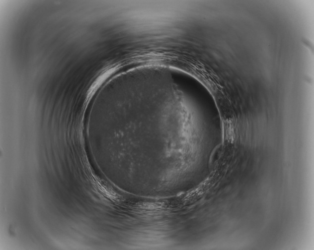 X0000097670147200802291508
