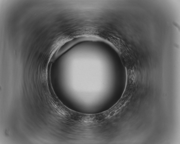 X0000097670148200802291508