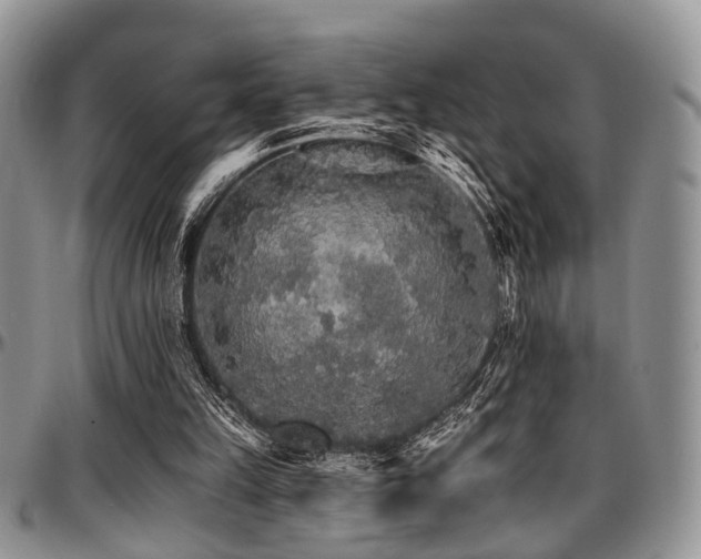 X0000097670149200802291508