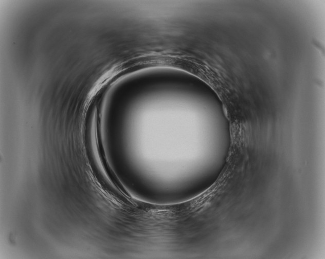 X0000097670150200802291508