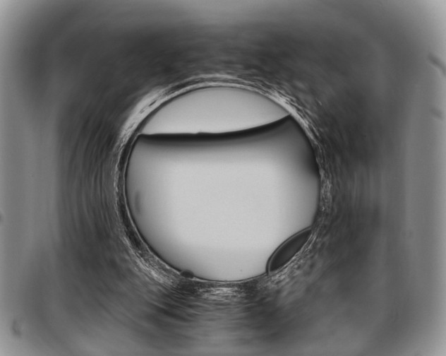 X0000097670151200802291508