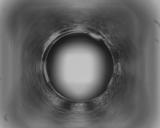 X0000097670152200802291508