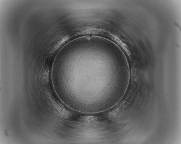 X0000097670153200802291508