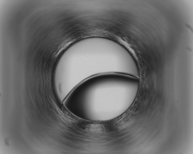 X0000097670154200802291508