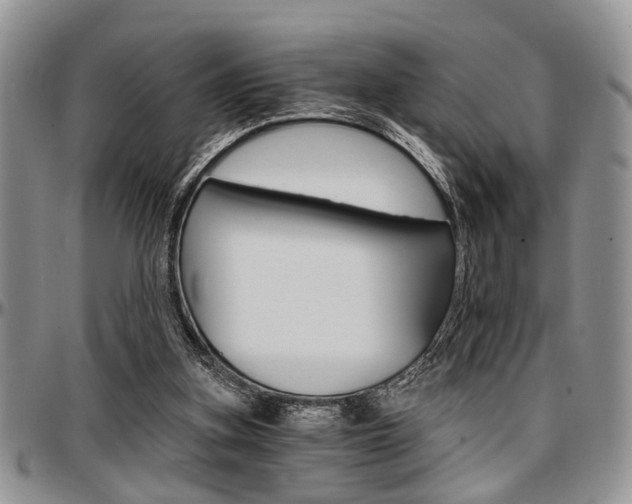 X0000097670155200802291508